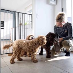 DogSpace Charlie Extra Hög Väggmonterad Hundgrind Galler 103 cm SVART